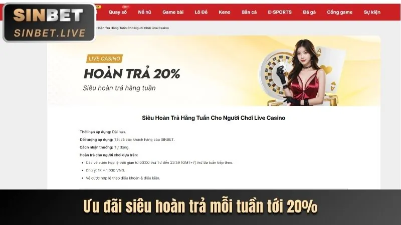 Cách quản lý tùy chọn Cookie